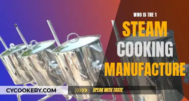 The Top Steam Cooking Manufacturer: Who's Leading the Pack?