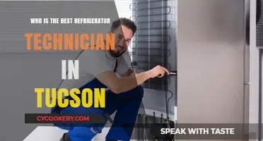 Top Tucson Refrigerator Repair: Who's the Best Technician?
