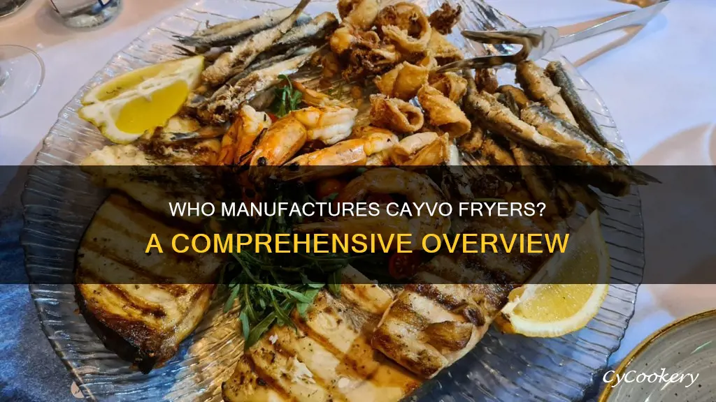 who makes cayvo fryers