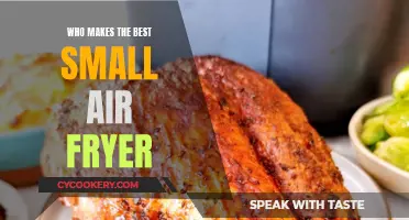 Small Air Fryers: Which Brand Should You Trust?