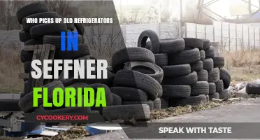 Eco-Friendly Appliance Disposal: Seffner's Old Refrigerator Pickup Services