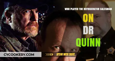 Charming Refrigerator Salesman on Dr. Quinn: A Look Back