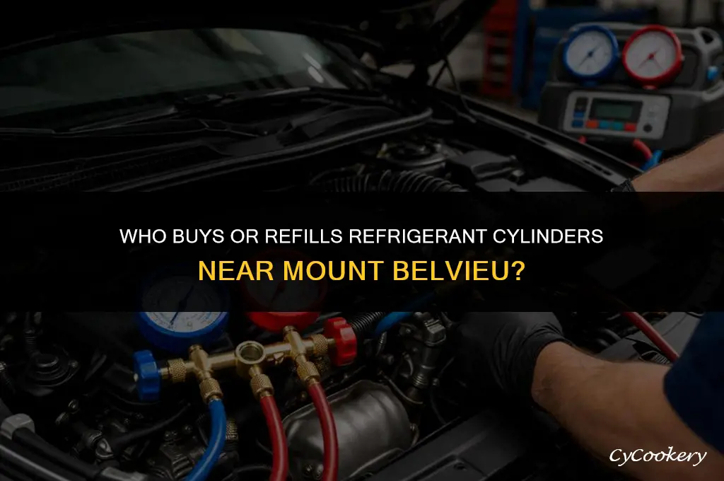 who purchase or fills refrigerant cylinder nar mount belvieu
