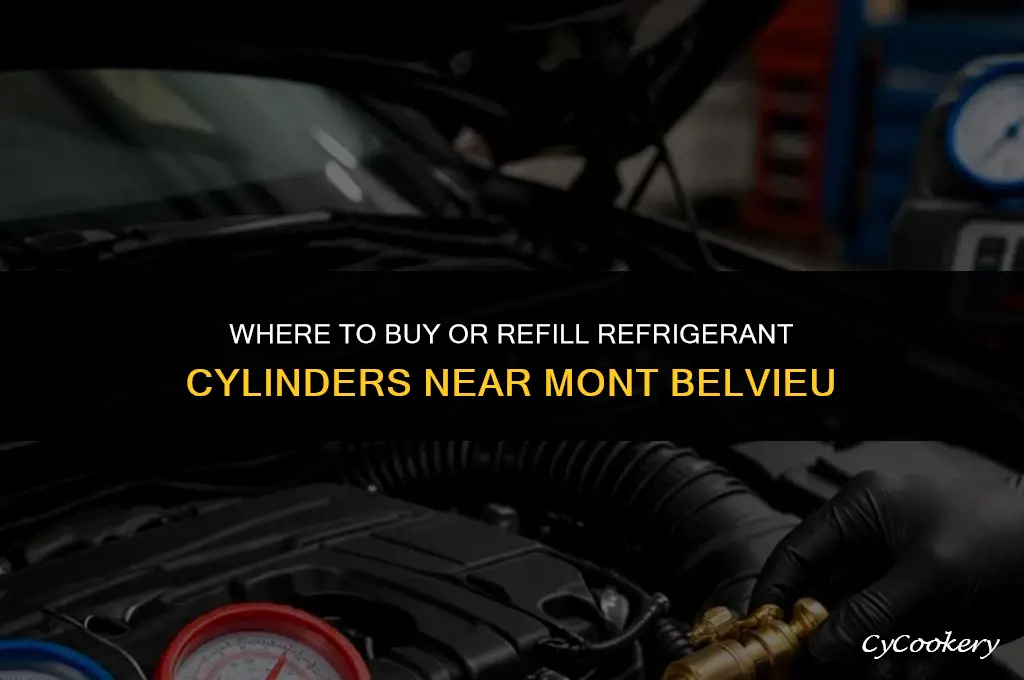 who purchase or fills refrigerant cylinder near mont belvieu