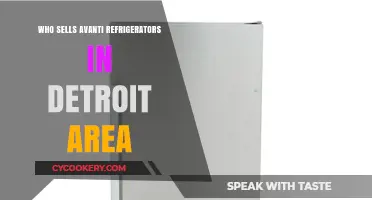 Where to Buy Avanti Refrigerators in Detroit: A Local Guide
