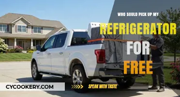 Eco-Friendly Options: Who Should Pick Up Your Old Refrigerator for Free?