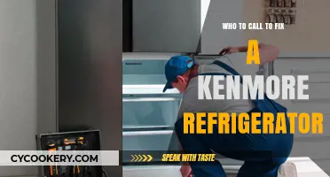 Expert Help for Kenmore Refrigerator Repairs: Who to Call