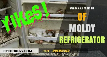 Banish Moldy Odors: Your Guide to a Fresh Fridge