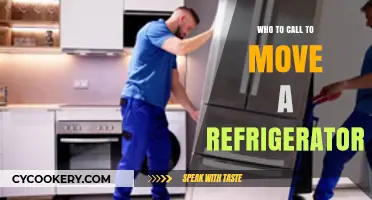 Need to Move a Fridge? Here’s Who to Call for Help