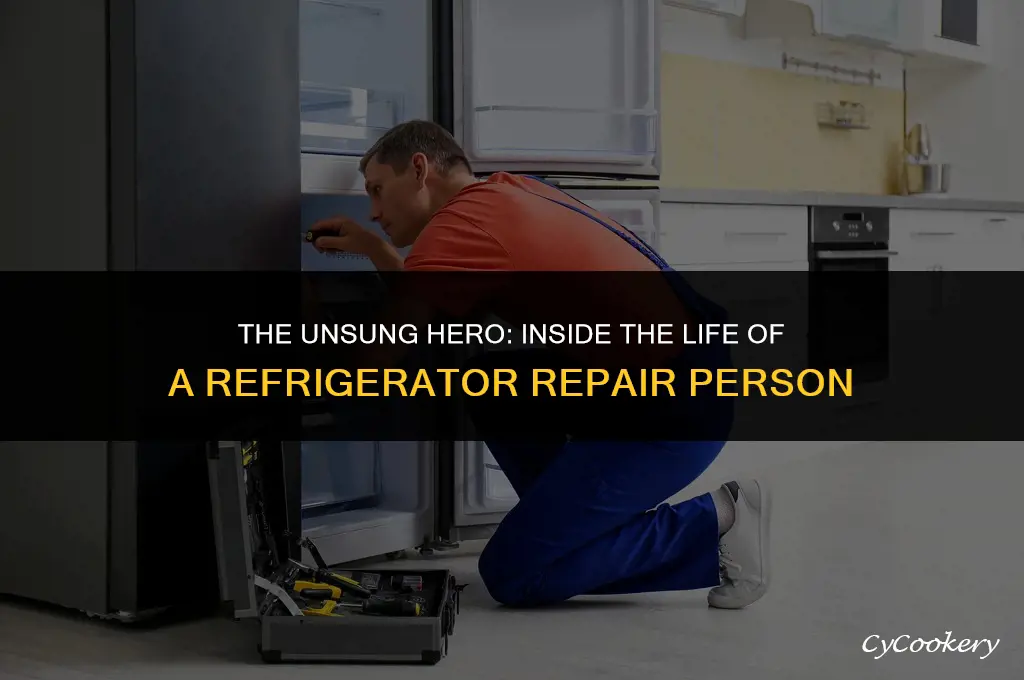 who was refrigerator repair person series of unfortunate events
