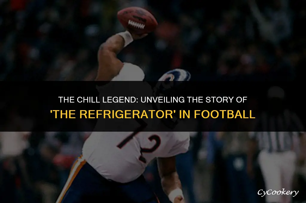 who was the football player called the refrigerator