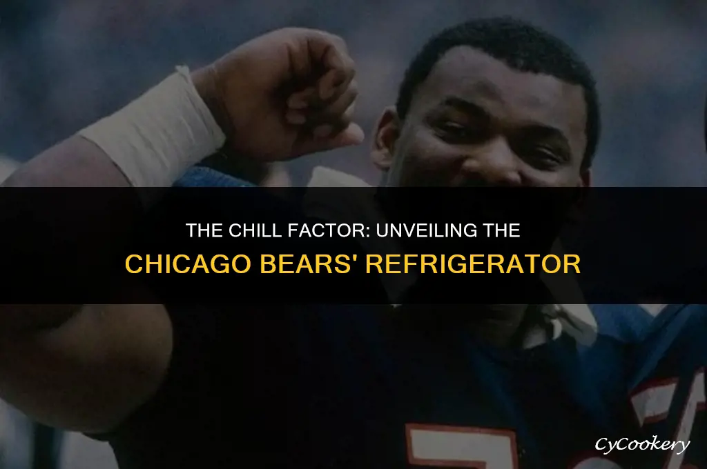 who was the refrigerator for the chicago bears