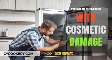 Cosmetic Damage on Your Fridge? Who Can Fix It Right?