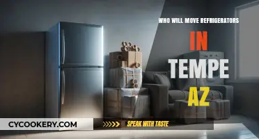 Tempe AZ Refrigerator Movers: Who Can Handle Your Heavy Appliances?