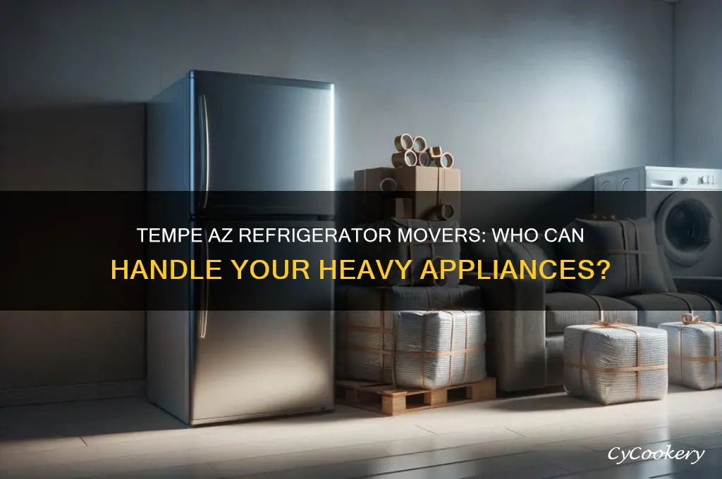 who will move refrigerators in tempe az