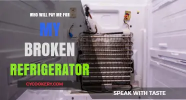 Who Will Pay for My Broken Refrigerator: A Homeowner's Dilemma