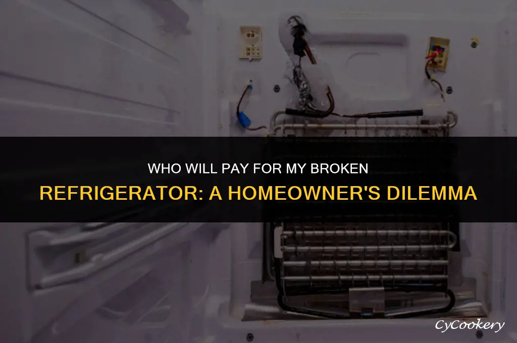 who will pay me for my broken refrigerator