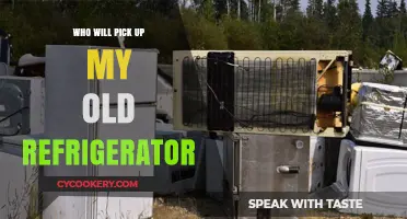 Eco-Friendly Disposal: Who Will Pick Up My Old Refrigerator?