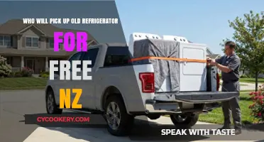 Eco-Friendly Disposal: Who Picks Up Old Fridges for Free in NZ?