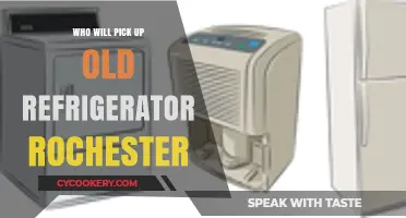 Rochester's Old Refrigerator Removal: Who Will Pick It Up?