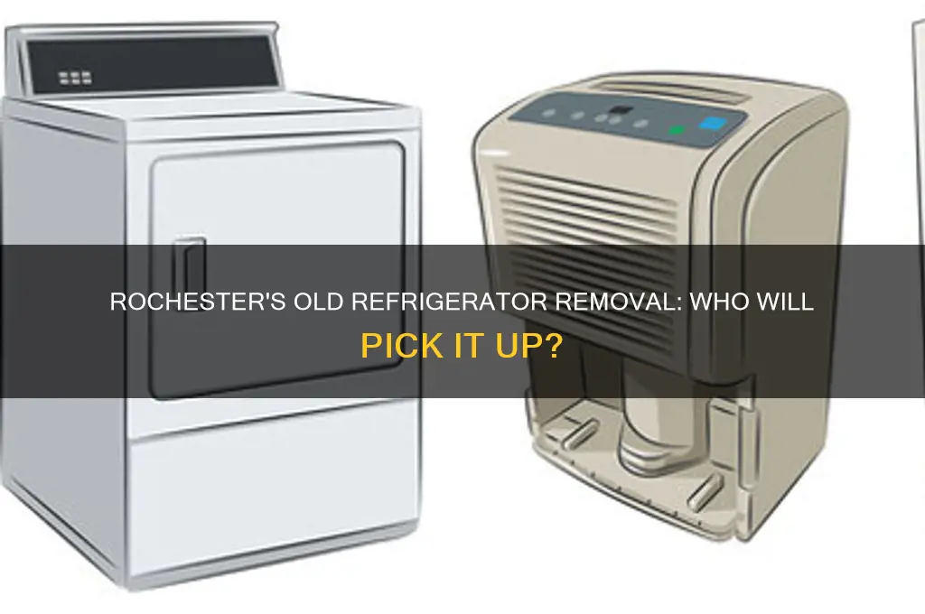 who will pick up old refrigerator rochester