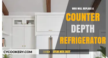 Finding the Perfect Fit: Counter Depth Fridge Replacement Options
