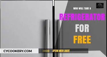 Free Refrigerator: Who’s Ready to Claim This Cool Opportunity?