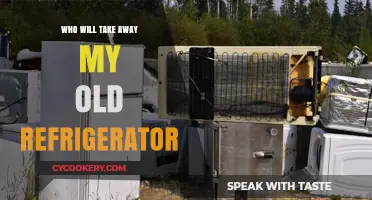Eco-Friendly Options for Removing Your Old Refrigerator Responsibly