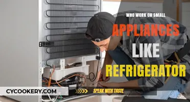 Expert Technicians Repairing Small Appliances: Refrigerators and Beyond