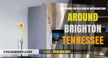 Brighton TN Electrolux Refrigerator Repair: Find Local Technicians