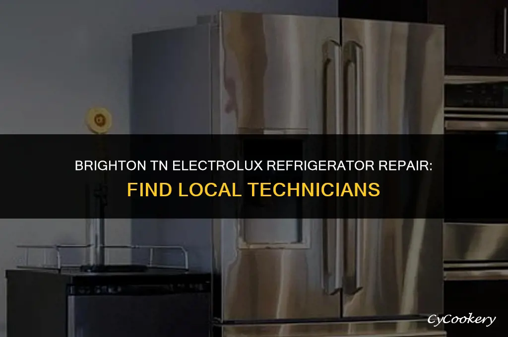 who works on electrolux refrigerators around brighton tennessee