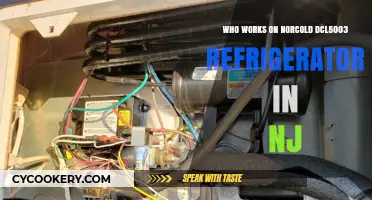 Expert Norcold DCL5003 Refrigerator Service in New Jersey