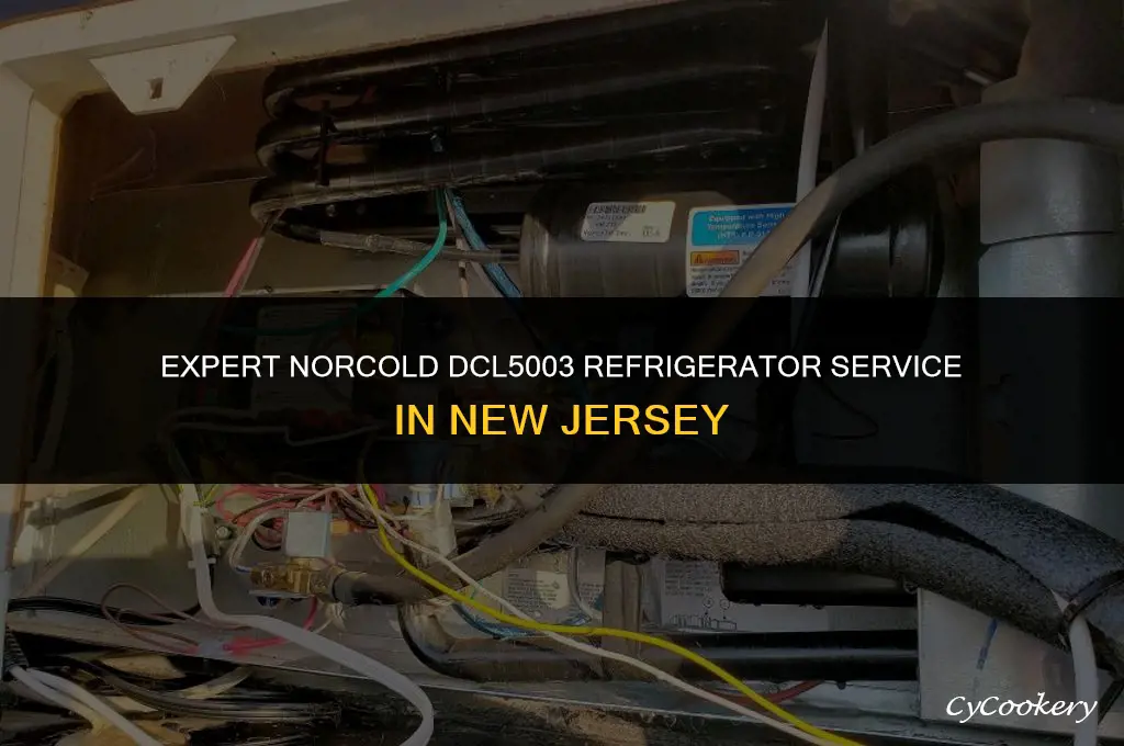 who works on norcold dcl5003 refrigerator in nj