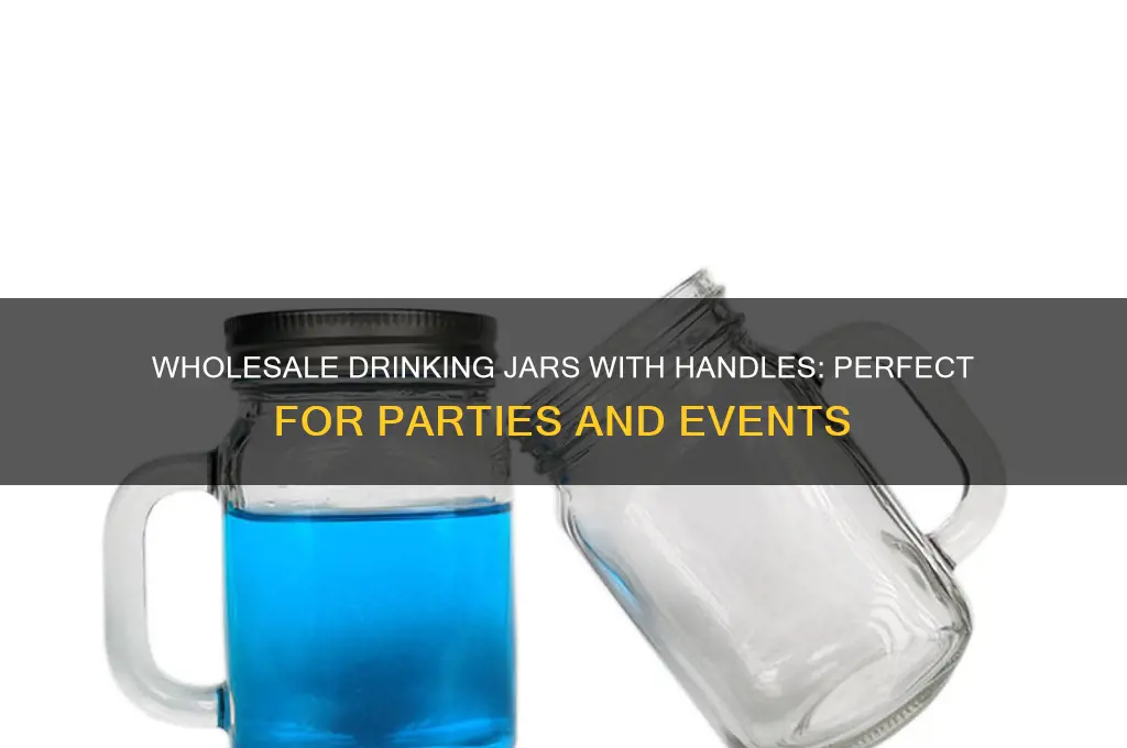 wholesale drinking jar with handle