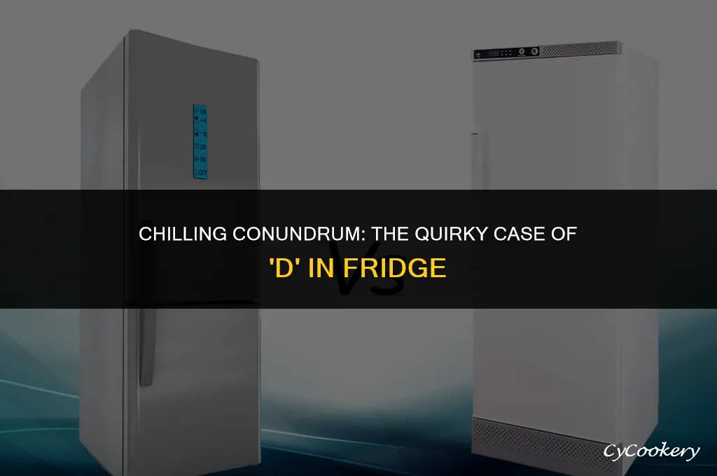 why a d in fridge and not refrigerator
