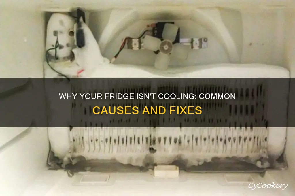 why a refrigerator is not cold enough