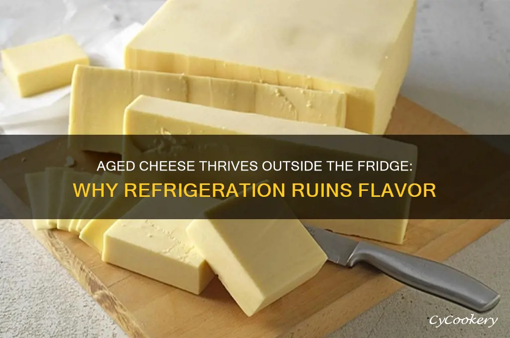 why aged cheese should not be refrigerated