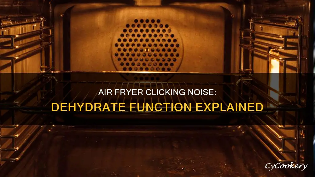 why air fryer makes clicking noise on dehydrate