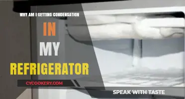 Chill Out: Understanding and Fixing Refrigerator Condensation Issues
