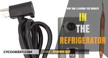 Chilled Convenience: The Surprising Reason I Store My Remote in the Fridge