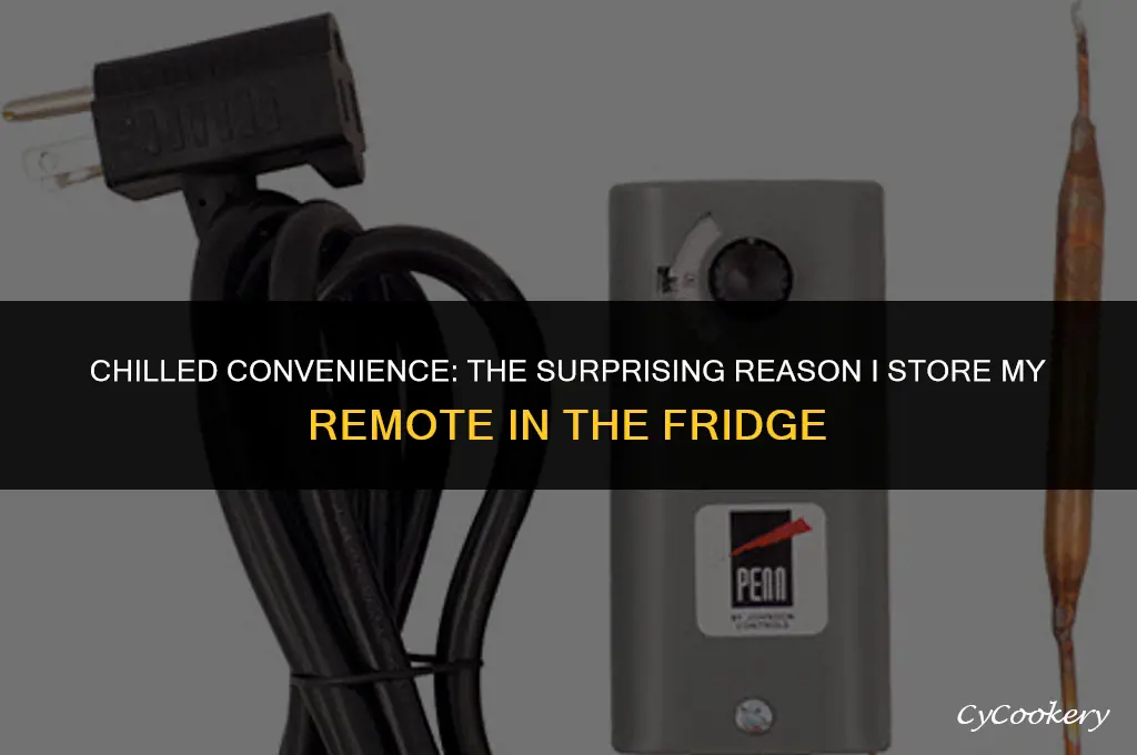 why am i leaving the remote in the refrigerator