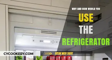 Chill Essentials: Mastering the Art of Refrigerator Use