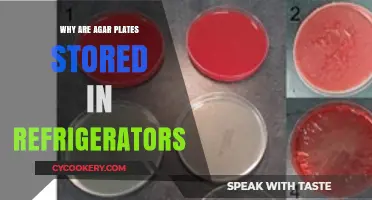 Why Agar Plates Need Refrigeration: Preserving Microbial Cultures Effectively