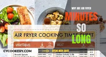 Air Fryer Minutes: Why the Long Cooking Time?