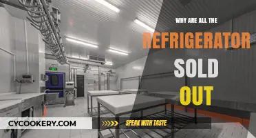 Refrigerator Shortage: Why Are All Fridges Sold Out Everywhere?