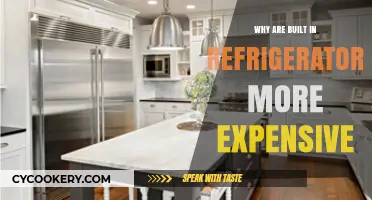 Why Built-In Refrigerators Cost More: Exploring the Premium Price Tag