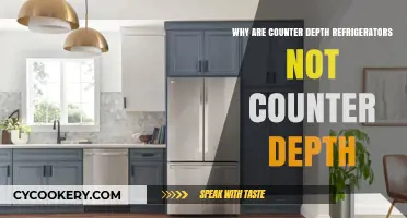 The Misnomer of Counter Depth: Why These Fridges Aren't Truly Flush