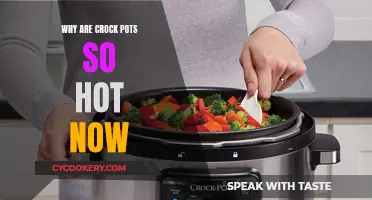 Crock-Pots: Why Slow Cooking is Having a Moment