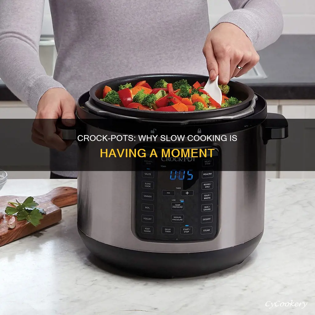 why are crock pots so hot now