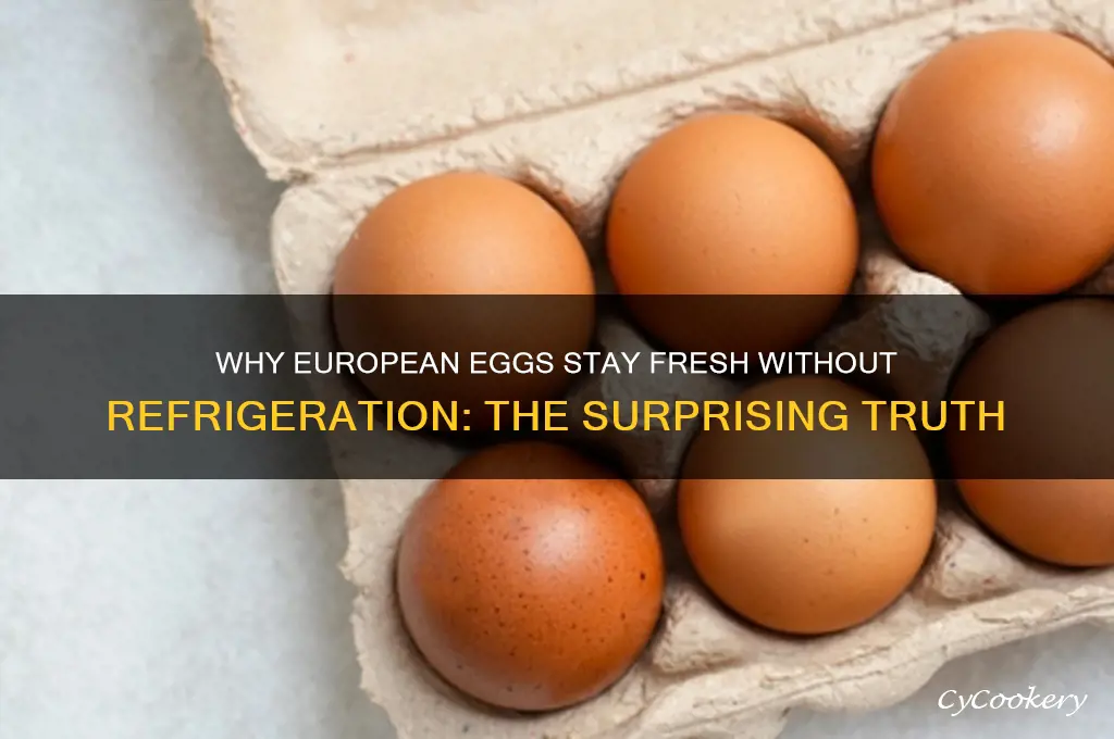 why are eggs in europe not refrigerated